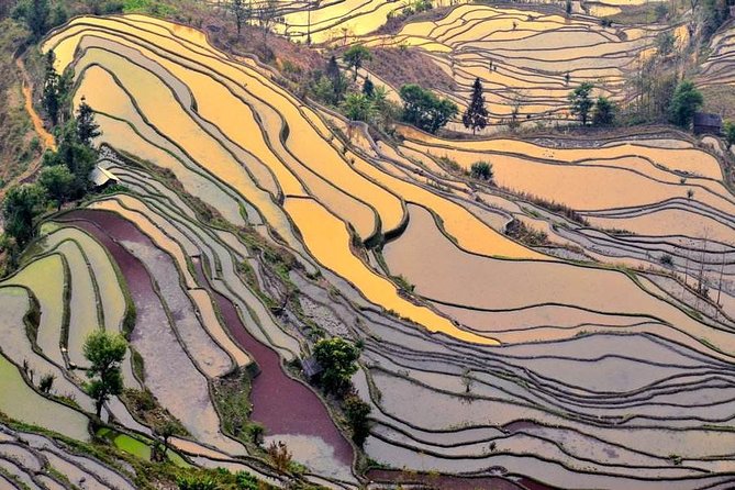 7-Days Tour From Lijiang to Kunming to and Overnight in Yuanyang Rice Terraces - Pricing and Group Size