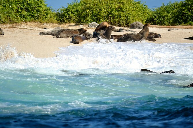 7 Days Tour in Quito and Santa Cruz/Galapagos - Best of Ecuador - Key Points