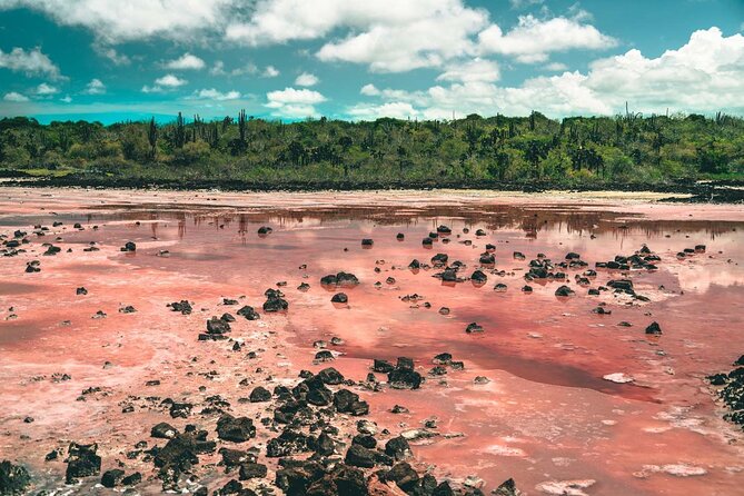 7 Days Tour in Quito and Santa Cruz/Galapagos - Best of Ecuador - Itinerary Overview