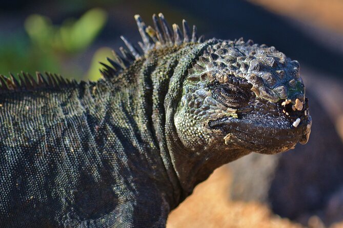 7 Days Tour in Quito and Santa Cruz/Galapagos - Best of Ecuador - Destinations Explored