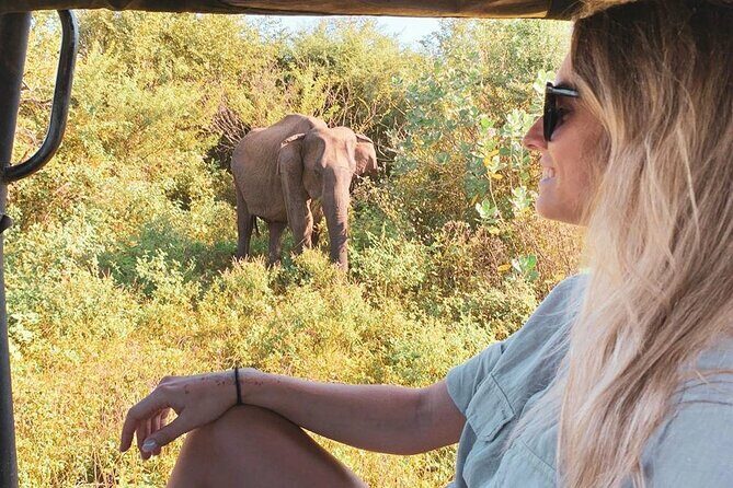 7 Days Tour in Sri Lanka Hotels with Breakfast and Luxury Car - Key Points