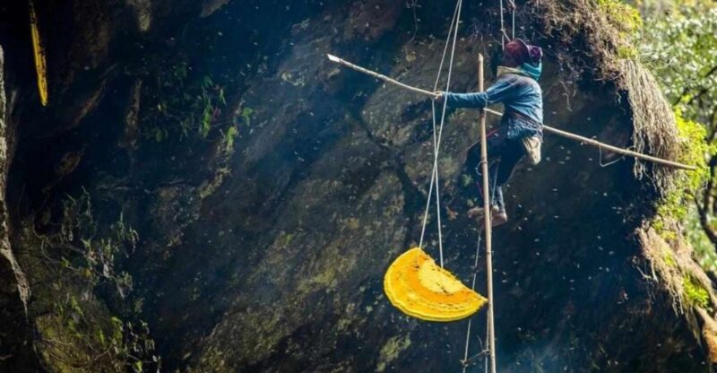 7 Days Wild Honey Hunting Tour in Lamjung, Nepal - Itinerary