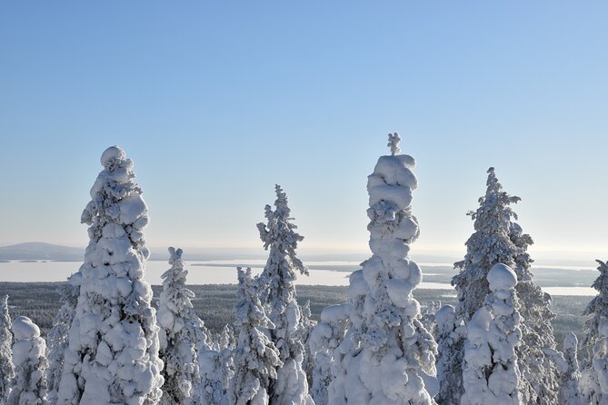 7 Days Winter Lapland Nature Experience - Quick Points