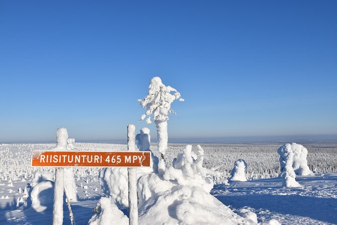 7 Days Winter Lapland Nature Experience - Embracing the Nordic Lifestyle