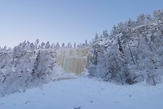 7 Days Winter Lapland Nature Experience - Savoring Delectable Lapland Cuisine