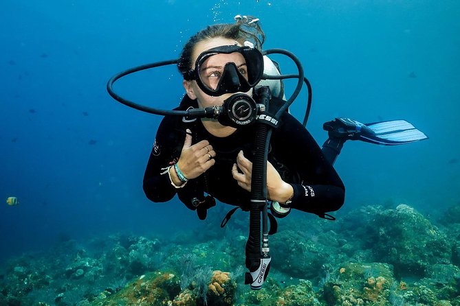 7 Fun Dives in Nusa Lembongan (For Certified Divers) - Premium Value Package - Souvenir Photos and Videos
