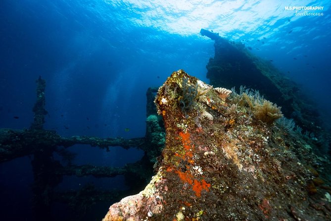 7 Fun Dives in Tulamben (For Certified Divers) - Premium Value Package - Participant Requirements