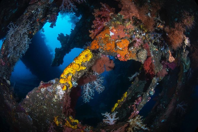 7 Fun Dives in Tulamben (For Certified Divers) - Premium Value Package - Logistics and Scheduling