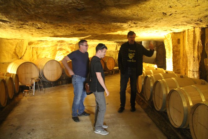 7-Hour Guided Wine Tour in Loire Valley - Tasting Experiences