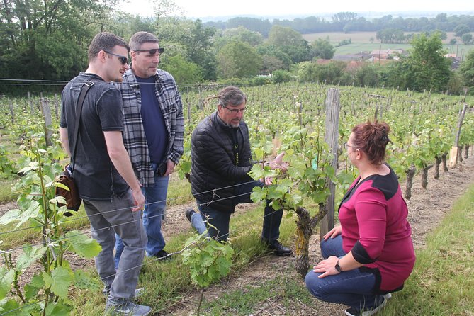 7-Hour Guided Wine Tour in Loire Valley - Participation and Cancellation