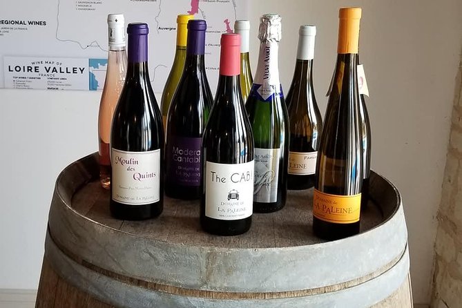 7-Hour Guided Wine Tour in Loire Valley - Guest Reviews