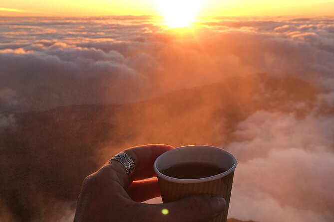 7-Hour Hike to Pico Mountain and Piquinho, With an Elevation of 7,710 Feet - Elevation and Terrain