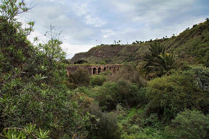 7-hour Hop on Hop off Tour of Historic Gran Canaria - Suggestions for Improvement
