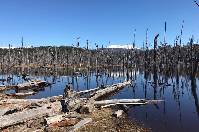 7-Hour Lakes Escondido & Fagnano - USHUAIA (Shared Tour) - Key Points