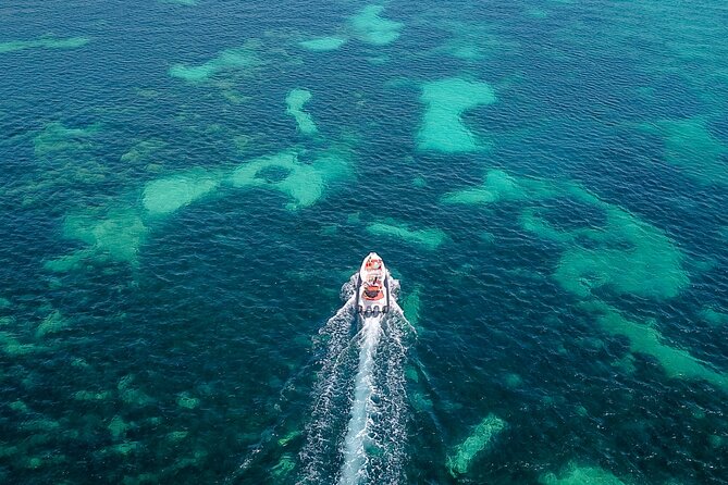 7 Hour Private Charter Rental La Fueguina in Ibiza - Cancellation and Payment