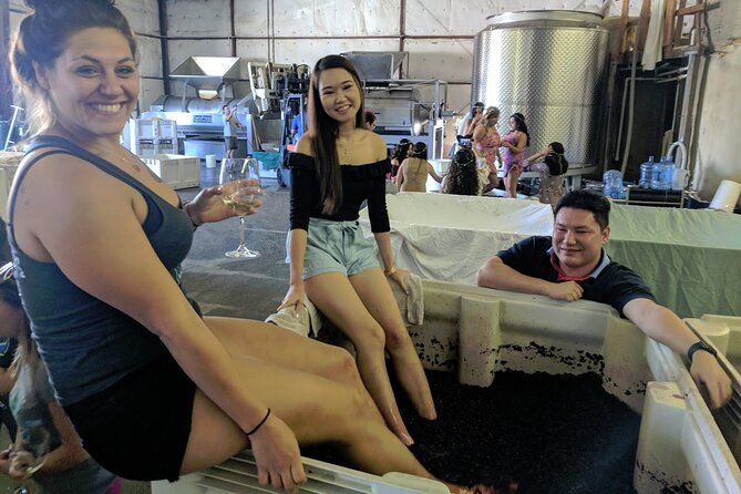 7 Hour Private Santa Barbara Wine Tour - Positive Traveler Experiences