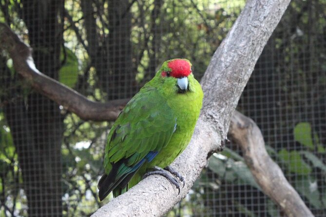 7-Hour Private Scenic Kapiti Coast Tour From Wellington - Transportation and Accessibility