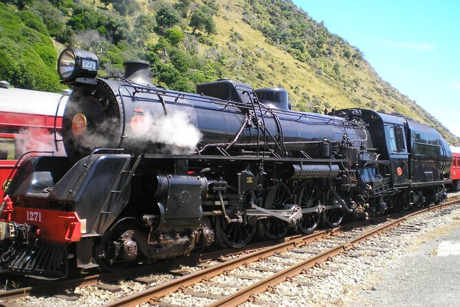 7-Hour Private Scenic Kapiti Coast Tour From Wellington - Pickup Information