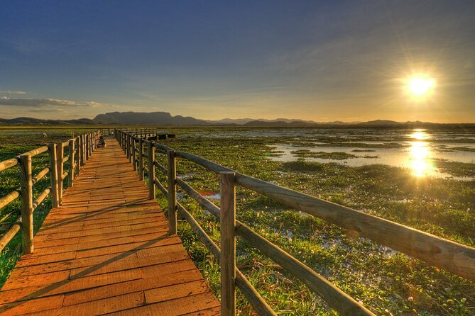 7 Hour Private Tour in Palo Verde National Park With Pickup - Key Points
