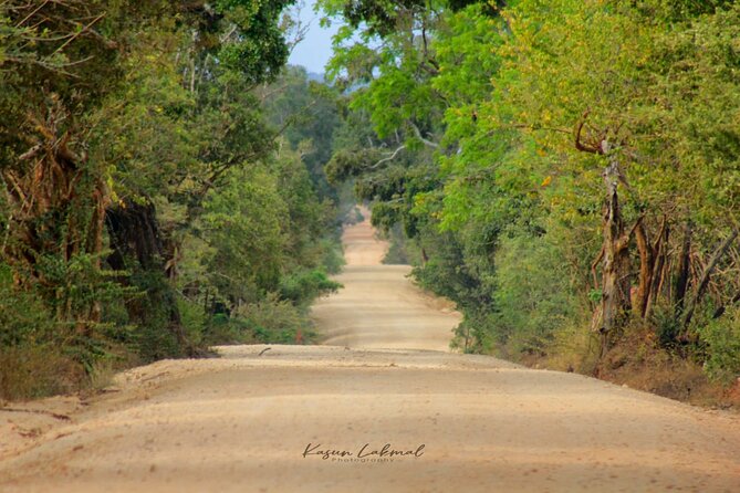 7-Hour Safari Tour Yala National Park - 4.30 Am To11.30 Am - Bottled Water Provided