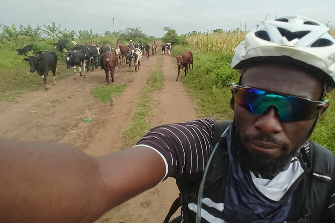 7 Hours Guided Cycling Tour to Sezibwa Waterfalls - Bike and Gear