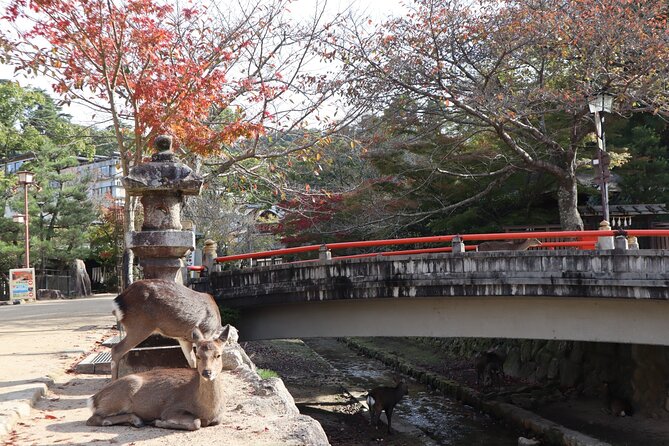 7 Hours Private Customizable Walking Tour in Hiroshima - Lunch Options