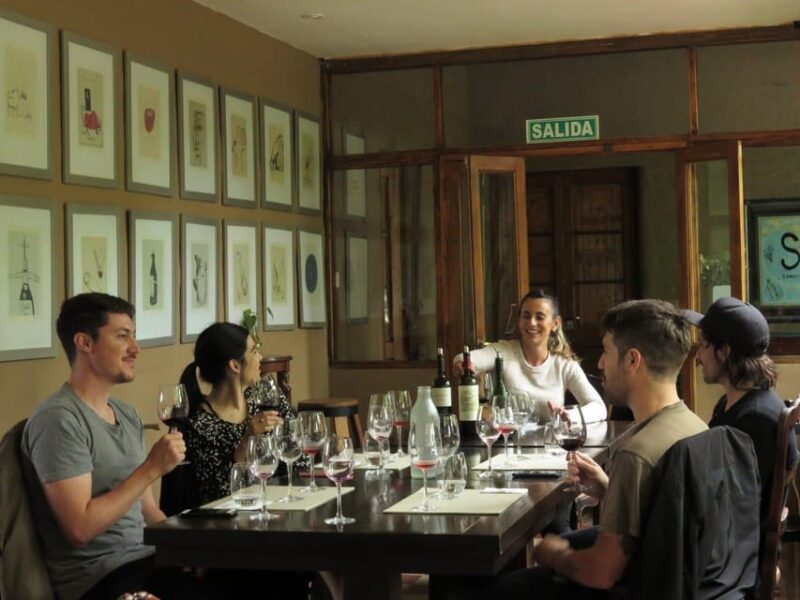7 Hours Private Driver + Concierge Service - Winery Recommendations