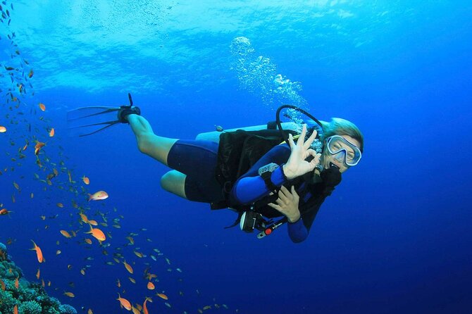 7 Hours Scuba Diving in Antalya - Schedule and Booking Details