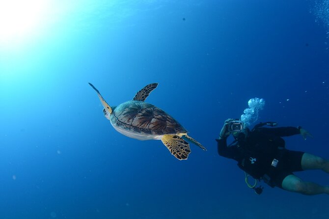 7 Hours Scuba Diving in Antalya - Traveler Reviews and Feedback