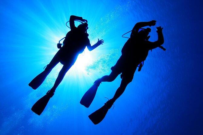 7 Hours Scuba Diving in Antalya - Guided Diving up to 5 Meters