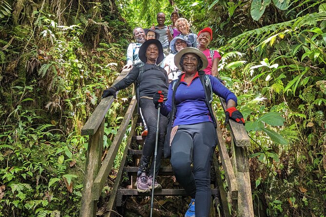7 Hours Wildlife Discovery Tour in Dominica - About Your Stay
