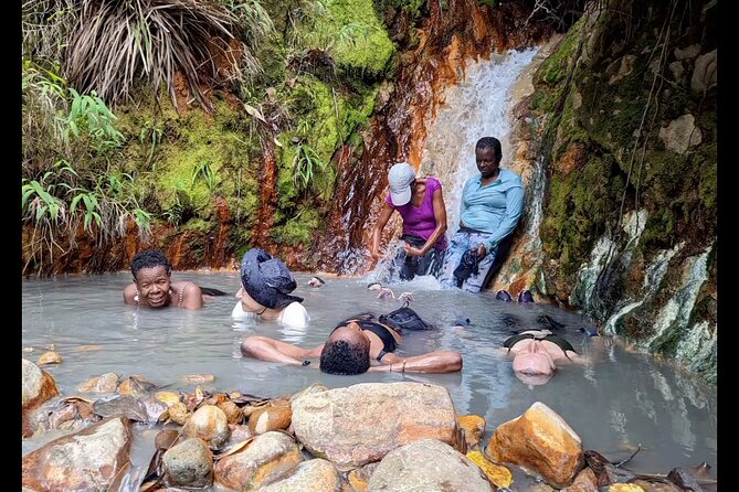 7 Hours Wildlife Discovery Tour in Dominica - Operational Details