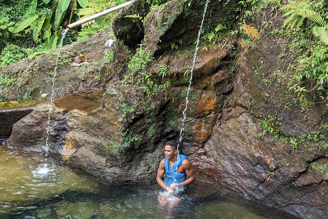 7 Hours Wildlife Discovery Tour in Dominica - Review Highlights