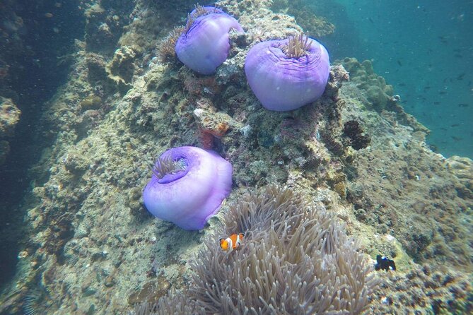 7 Islands Sunset Tour With BBQ Dinner & Night Snorkeling by Longtail Boat - Common Themes