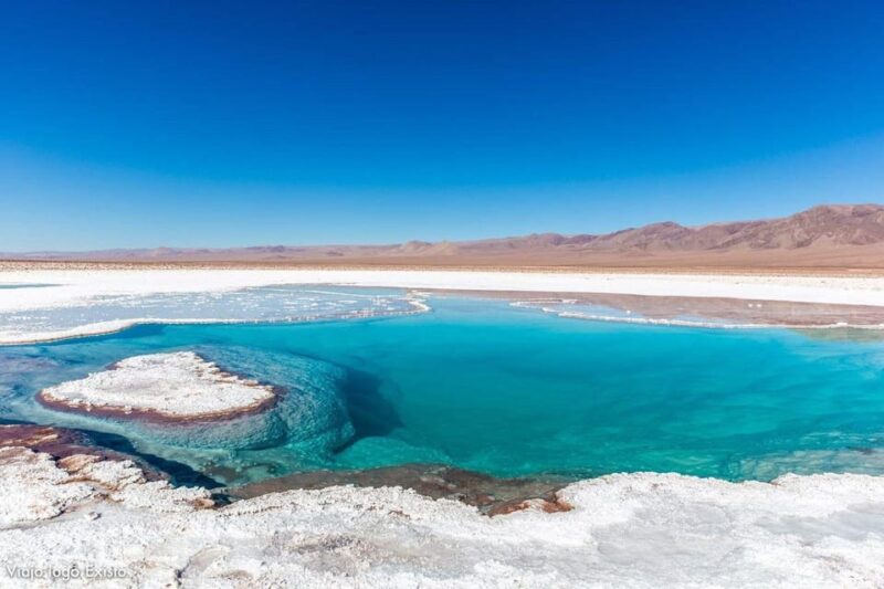 7 Lagoons of Baltinache | San Pedro De Atacama - Key Points
