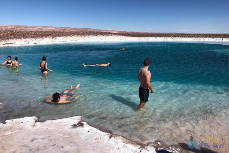 7 Lagoons of Baltinache | San Pedro De Atacama - Customer Feedback
