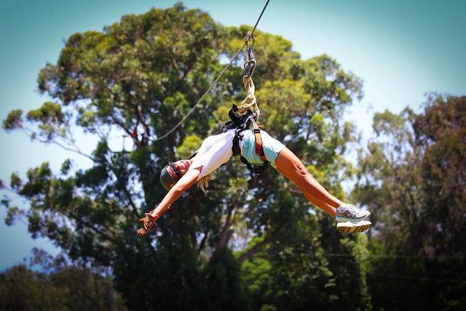 7-Line Maui Zipline Tour on the North Shore - Tour Experience