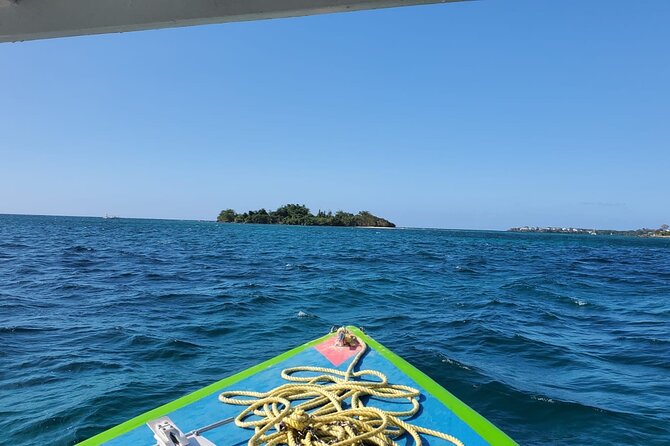 7 Miles Beach in Negril: Snorkeling, Boat Ride and Rick's Cafe - Snorkeling Adventure and Marine Life