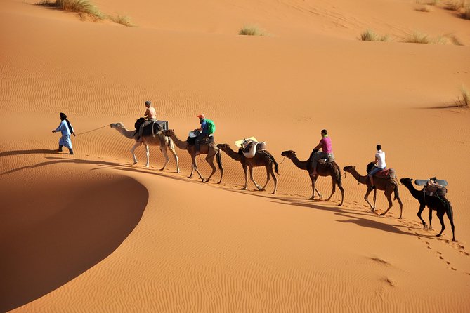 7 Night Sahara Caravan Road - Traverse the Tichka Mountain Pass