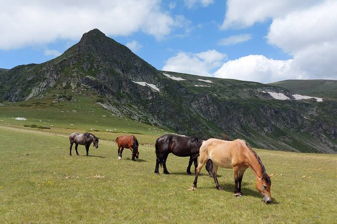 7 Rila Lakes and Rila Monastery Small Group Day Tour From Sofia - Accessibility and Requirements