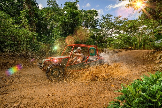 7 Tours Zipline, Chairlift, Buggy, Horseback Ride Punta Cana - Exploring Dominican Republics Natural Wonders