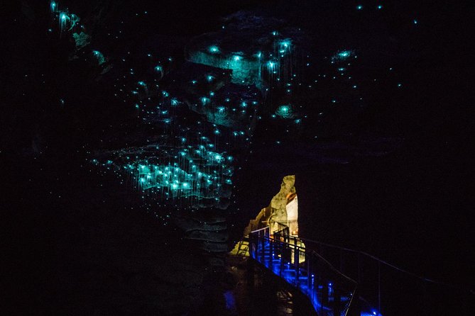 75-Minute Guided Ruakuri Cave Tour Waitomo - Inclusions and Accessibility