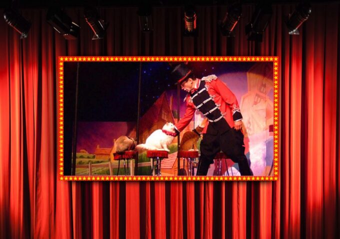 75-Minute Popovich Comedy Pet Theater in Las Vegas - Accessibility and Photography