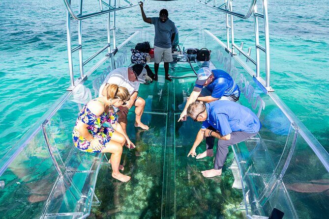 75 Minutes Clear Boat Tour in Caicos Island - Key Points