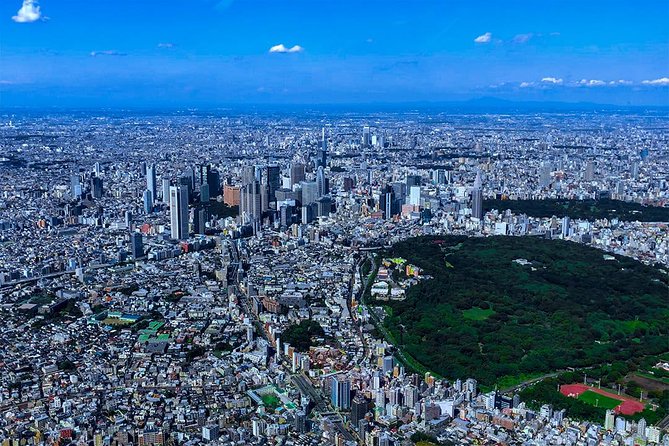 [75 Minutes] Tokyo-Mt.Fuji Tour: Mt. Fuji Helicopter Tour - Cancellation Policy