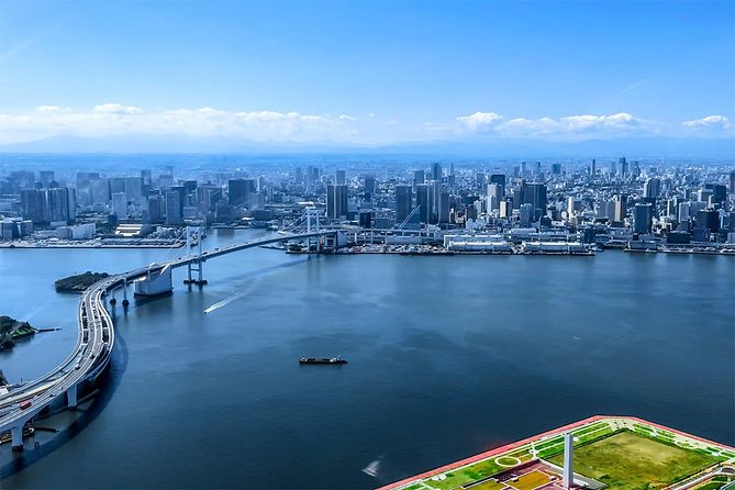 [75 Minutes] Tokyo-Mt.Fuji Tour: Mt. Fuji Helicopter Tour - Booking and Pricing