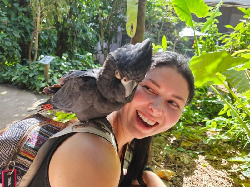 7B - Wildlife Tour & Mossman Gorge - Key Points