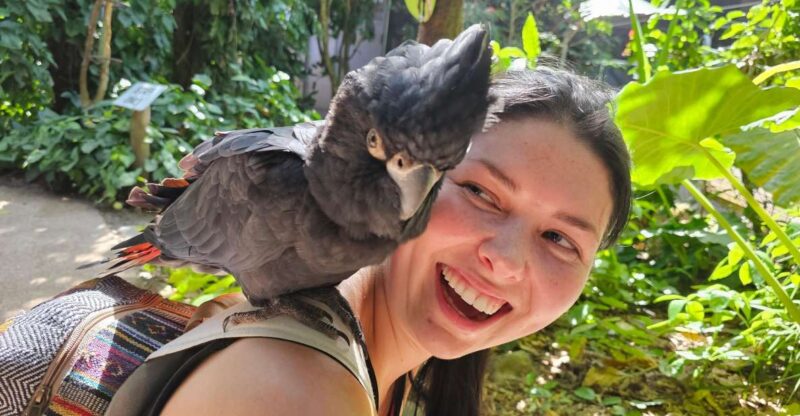 7B - Wildlife Tour & Mossman Gorge - Wildlife Encounters