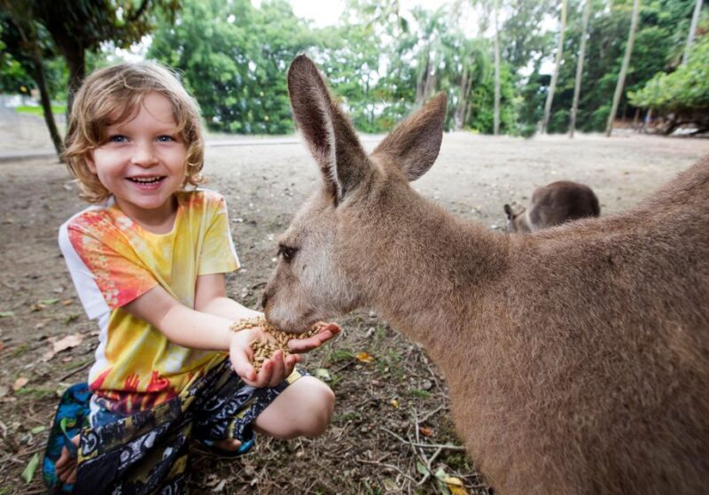 7B - Wildlife Tour & Mossman Gorge - Rainforest Experience