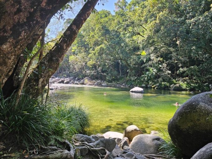 7B - Wildlife Tour & Mossman Gorge - Booking and Payment